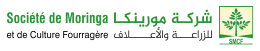 Moringa Mauritanie
