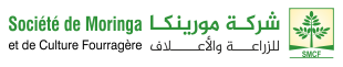 Moringa Mauritanie